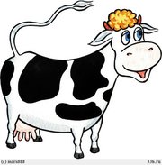Куплю корову на молоко
